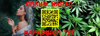 сатива Новодвинск