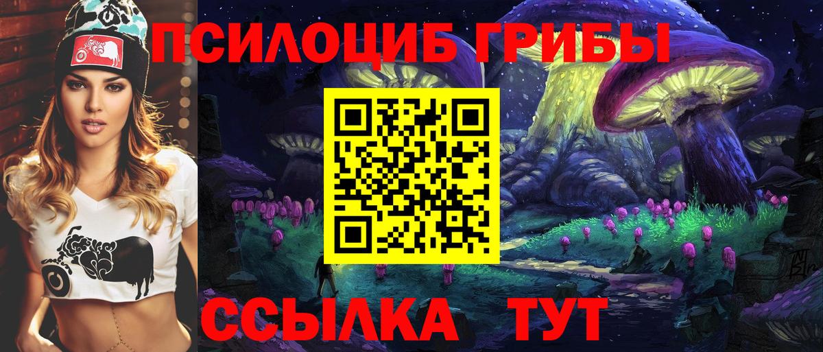 Псилоцибиновые грибы ЛСД Строитель