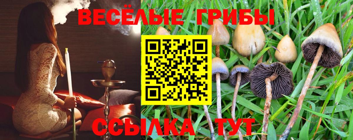 Псилоцибиновые грибы мицелий  Вход с VPN  Строитель 